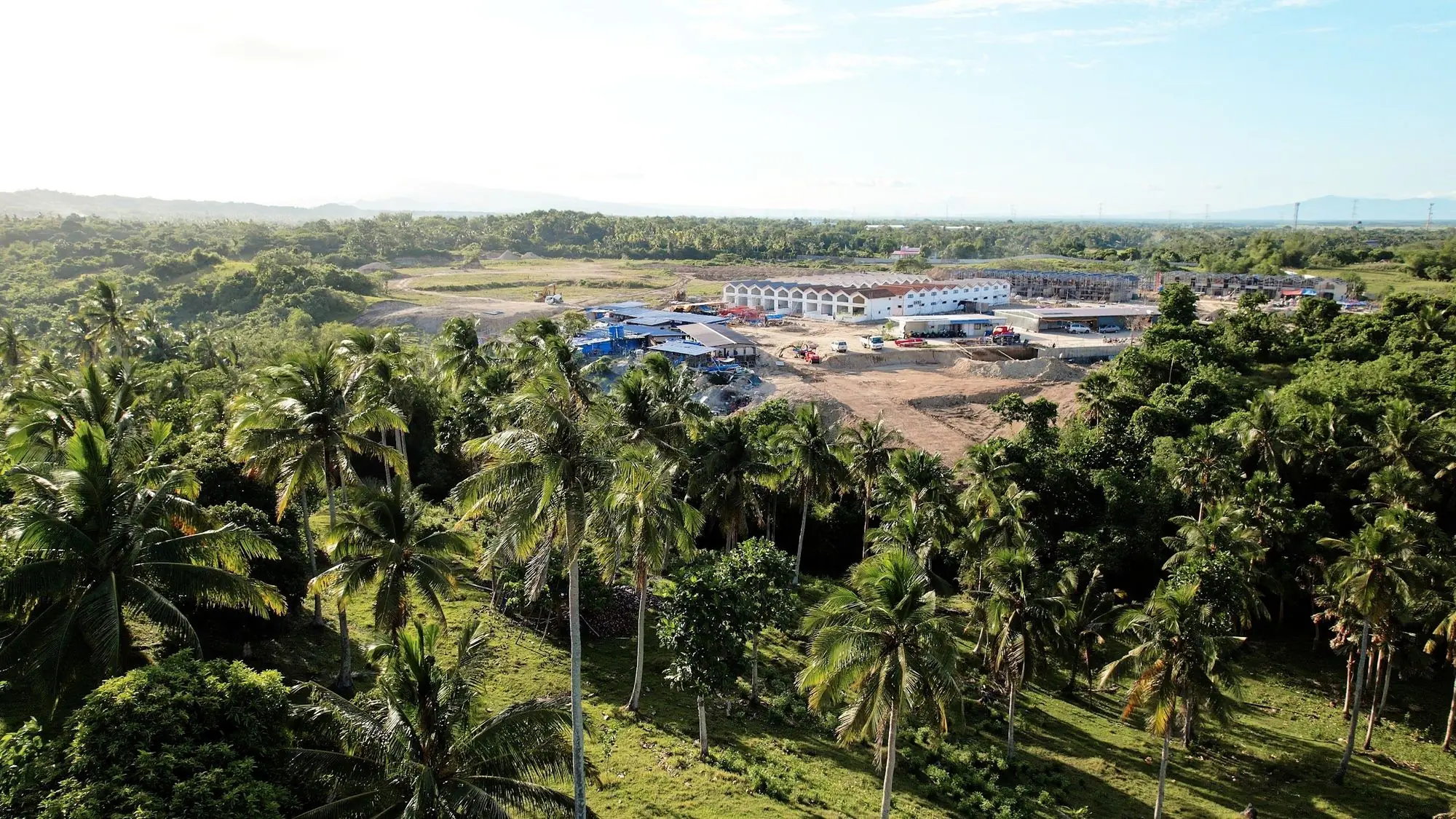 Vista aérea de la obra entre palmeral