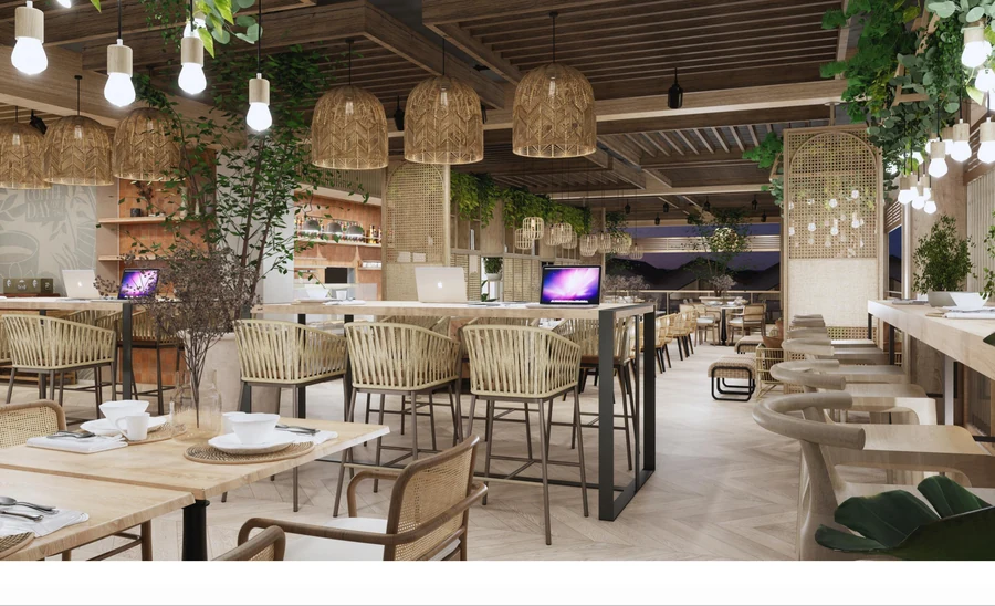Coworking area with laptops, rattan pendant lights and hanging plants