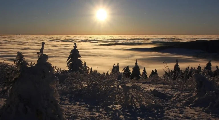 micro-hubs-inversion