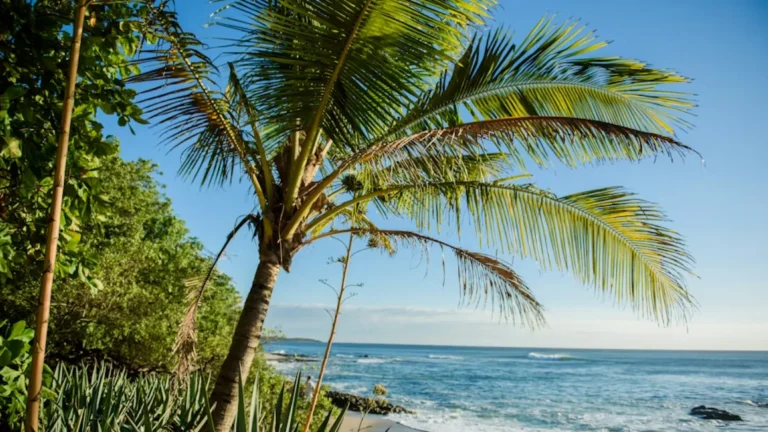 destinos emergentes filipinas