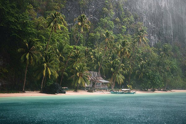 Vivienda moderna rodeada de vegetación tropical, ideal para representar inversión inmobiliaria sostenible y arquitectura integrada en el entorno.